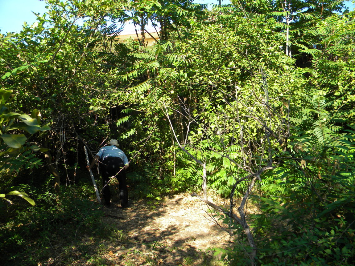 DSCN8098 .JPG